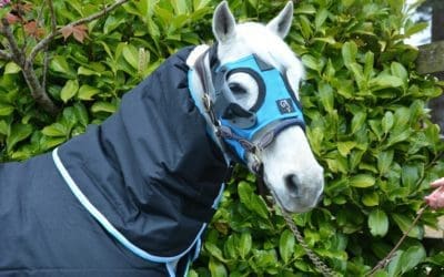 Top list of benefits on why you would use an Equilume Light Mask for Show Horse Preparation