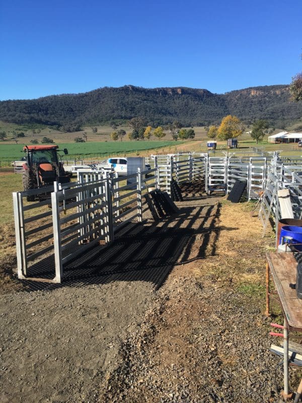 Geohex Installation in Cattle Yards