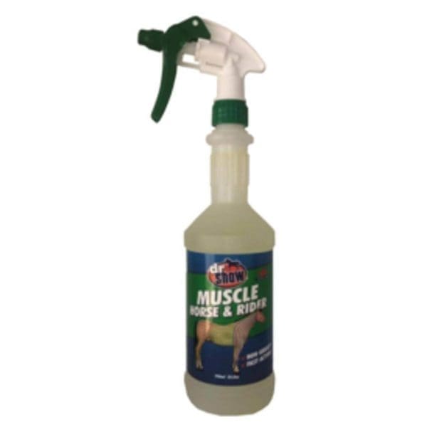 Dr Show Muscle Horse and Rider - Image 2