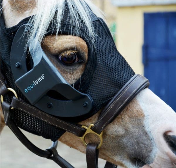 Pony wearing Equilume Light Mask