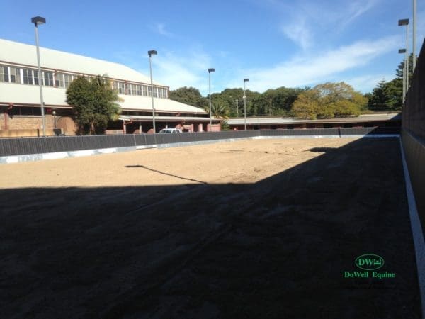 Arena Kick Wall - PE Boards (Black boards) - Image 3