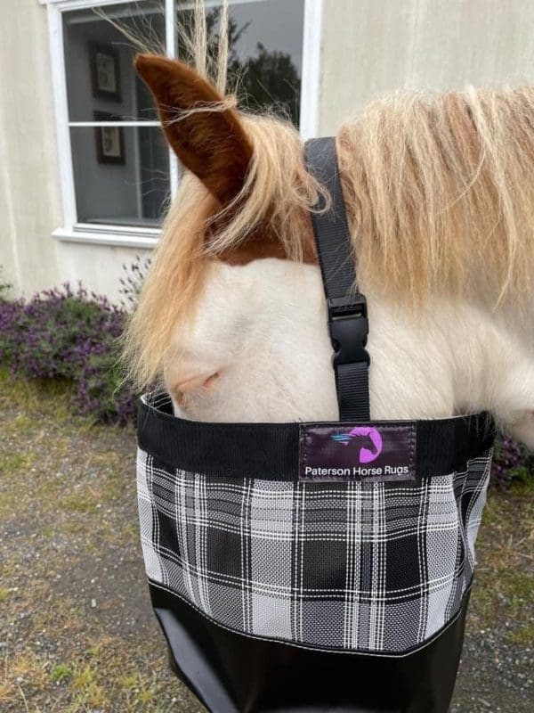 Feed horse supplements in nose feed bag