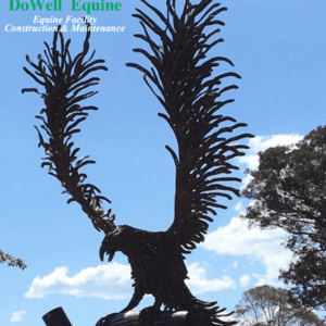 Eagle Sculpture - Mark Dowell