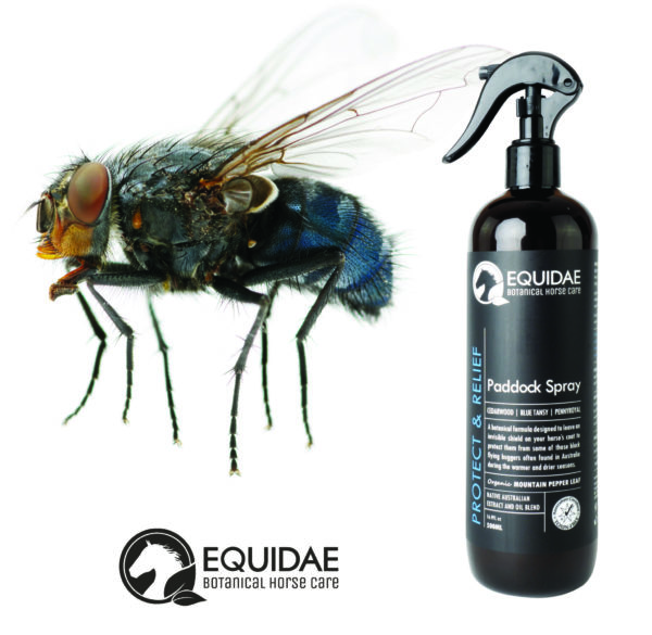 EQUIDAE Paddock Spray 500ml - Natural Horse Fly Repellent - Image 2