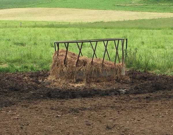 GEOHEX - Around Water & Feed Troughs - Image 2
