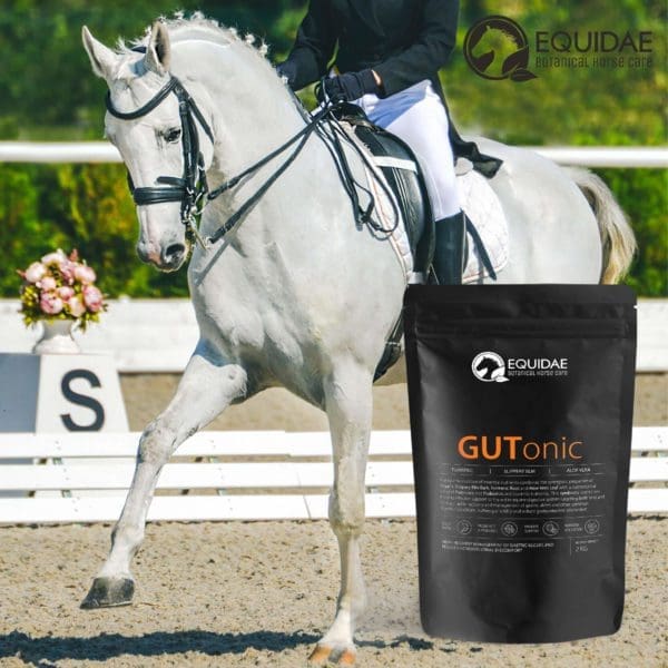 Equidae GUTonic - Equine care probiotic & ulcer treatment - Image 3
