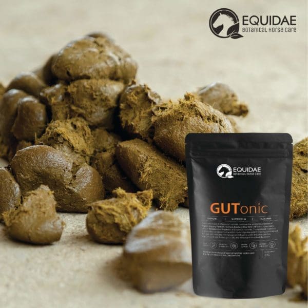 Equidae GUTonic - Equine care probiotic & ulcer treatment - Image 2