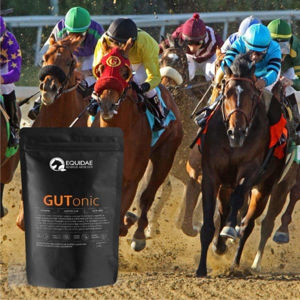 Equidae GUTonic - Equine care probiotic & ulcer treatment - Image 4