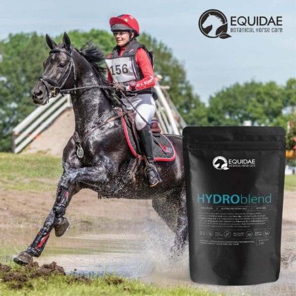 Equidae HYDROblend - Electrolytes for horses - Image 3