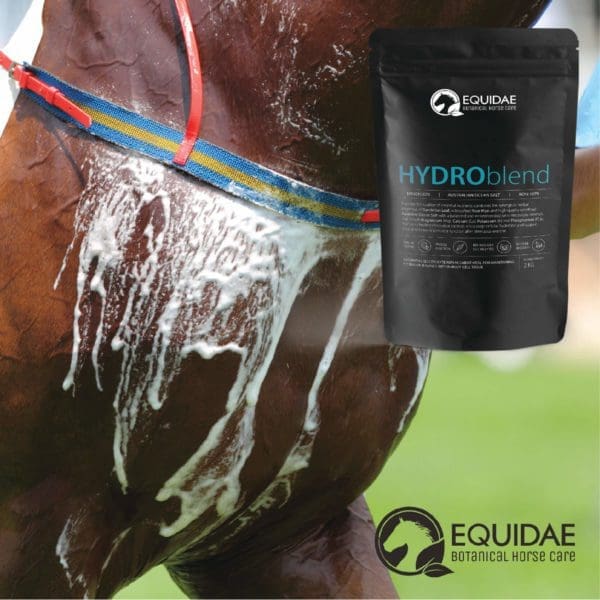 Equidae HYDROblend - Electrolytes for horses - Image 4