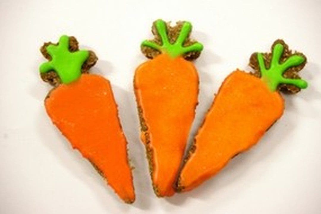 Horse Treat - Carrot Shaped Cookies (4 Pieces) - Huds & Toke