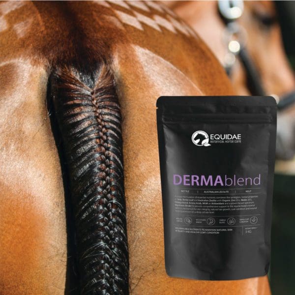 Horse skin care supplement