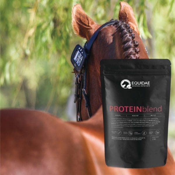 Equidae PROTEINblend -  Protein for Horses - Image 2