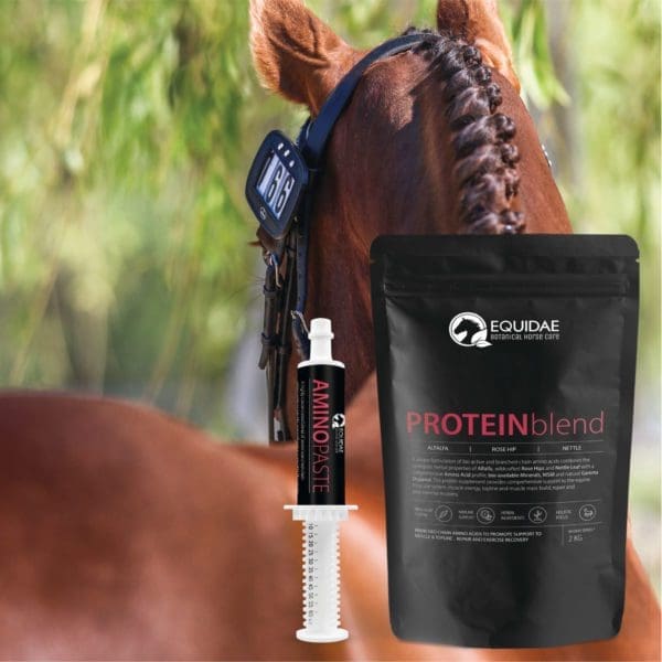 Equidae PROTEINblend -  Protein for Horses - Image 3