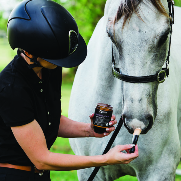 Person applying sunscreen powder for horses