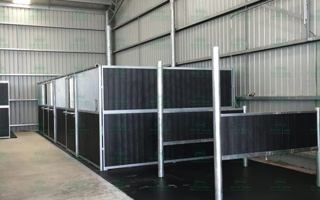 Bathurst NSW Dressage Stables