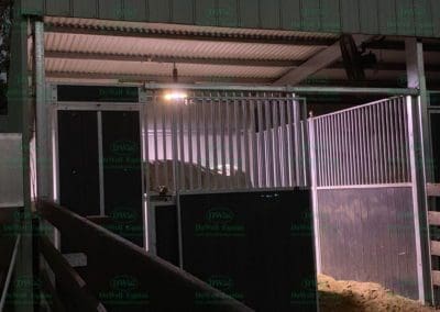 A more natural light for horse stables