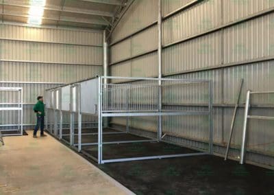Installation of horse stables in shed