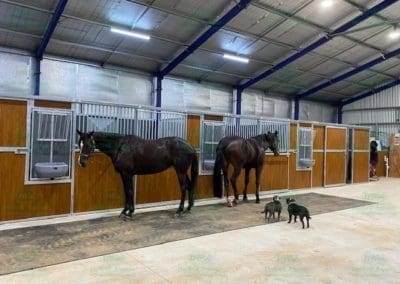 Horses waiting to go into horse stable