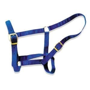 Horse Halter - Pony, Cob, Full