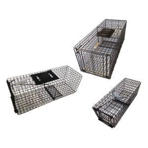 Animal Traps - Set of 3
