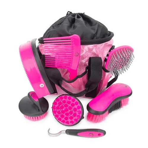 Horse Grooming Bag with horse brushes