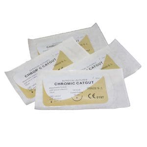 Catgut Sutures