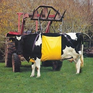 Cow Lifter