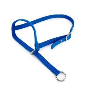 Halter Leading Cow
