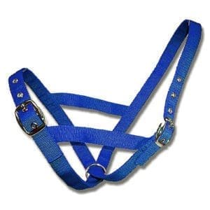 Cattle Halter Webbing -Heifer