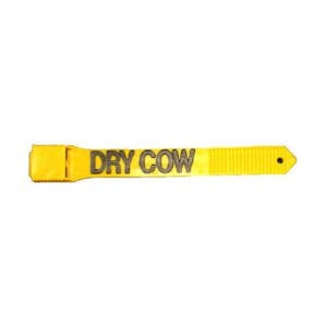 Dry cow removable tag