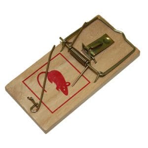 Mouse Wood Trap