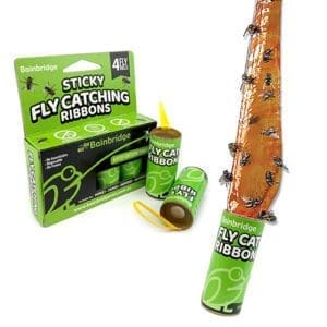 Fly Trap - Sticky Roll Ribbon