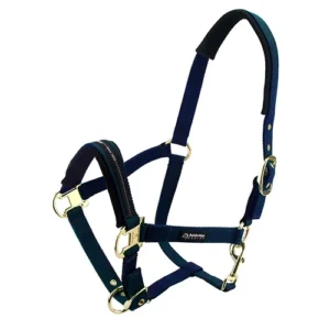 Navy Pony Halter