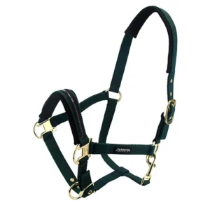 Green cob horse halter