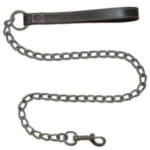 dog chain leash