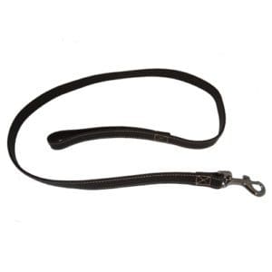 brown leather dog lead