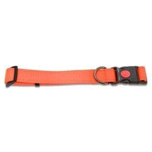 Orange dog collar