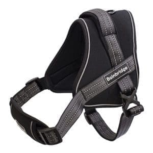 dog harness