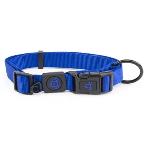 Blue dog collar