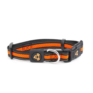 Orange dog collar