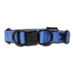 Nylon Blue Double Ring Dog Collar - Premium