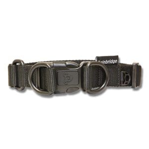 Nylon Black Double Ring Dog Collar - Premium