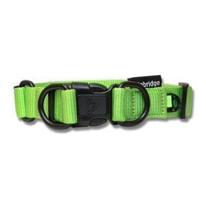 Nylon Green Double Ring Dog Collar - Premium