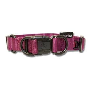 Nylon Purple Double Ring Dog Collar - Premium