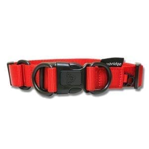 Nylon Red Double Ring Dog Collar - Premium