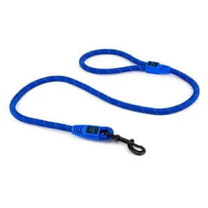 Blue reflective dog lead