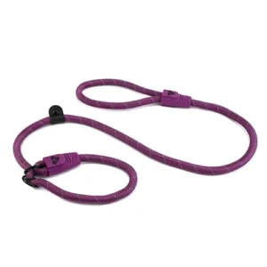 slip lead for dogs