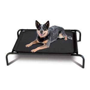 Flea Free dog bed