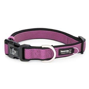 Pink Dog Collar